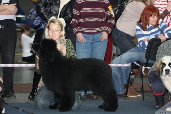 Фотография № 54182