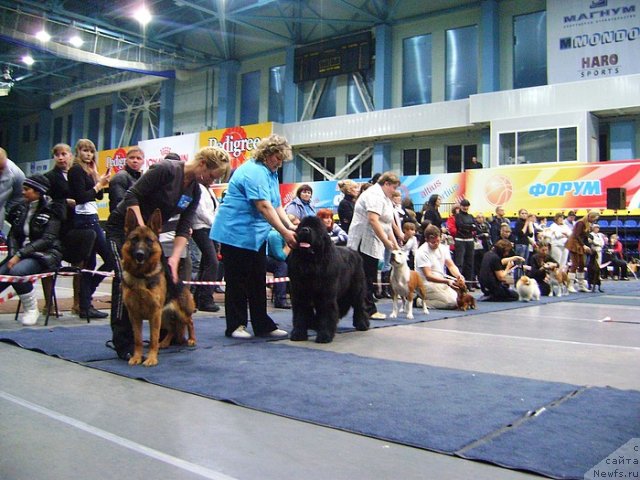 Фотография № 54192