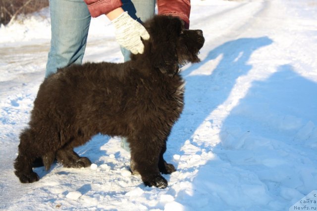 Фото: Черный Шарм Бэтмен
