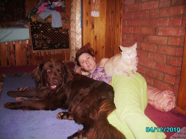 Фото: Ирина Нистратова