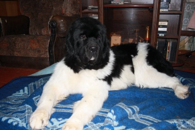 Фотография № 54287