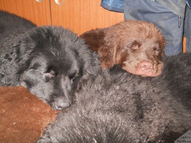 Фотография № 54384