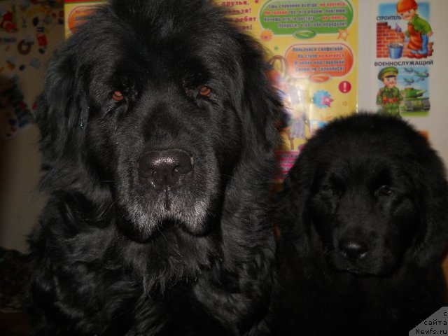 Фотография № 54387