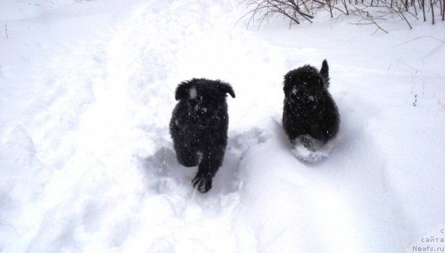 Фото: [d10061][d10060]