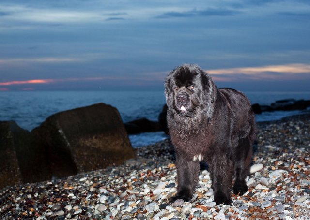 Фотография № 54392