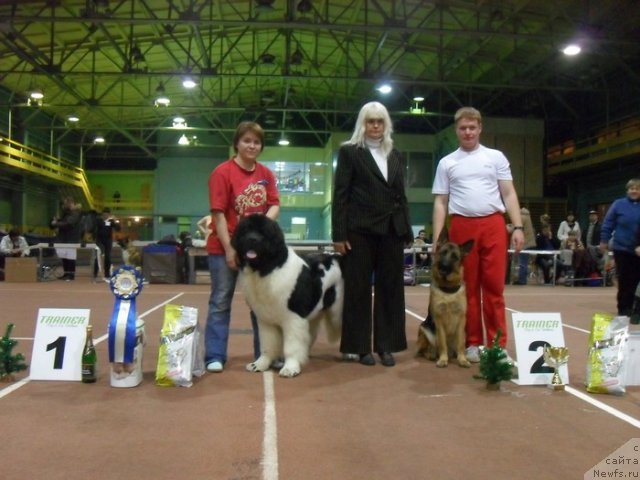 Фотография № 54402