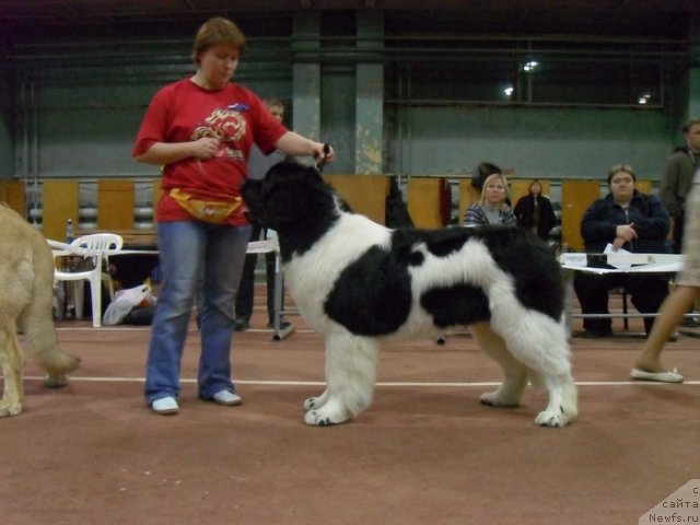 Фотография № 54403