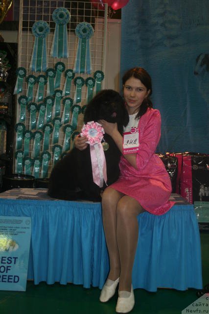 Фотография № 54426