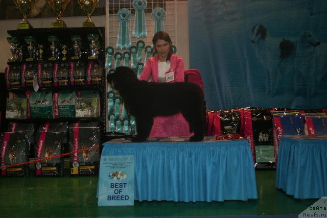 Фотография № 54427