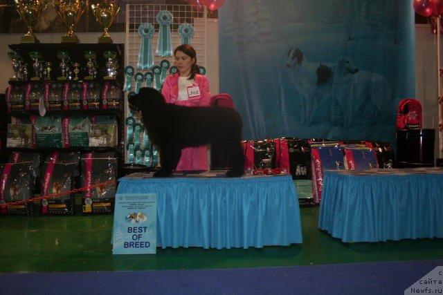 Фотография № 54428