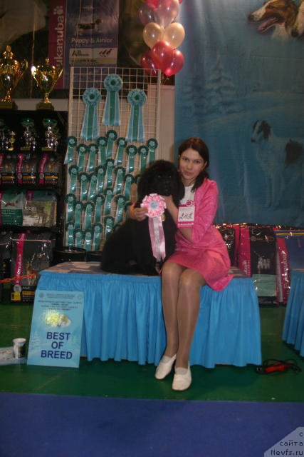 Фотография № 54429