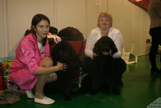 Фотография № 54431