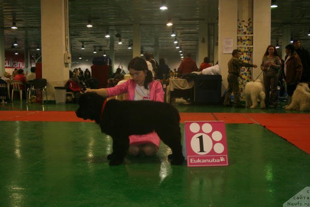 Фотография № 54433