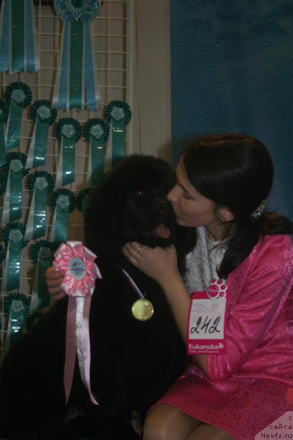 Фотография № 54434