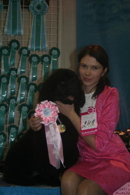 Фотография № 54435