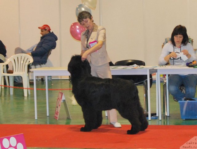 Фотография № 54466