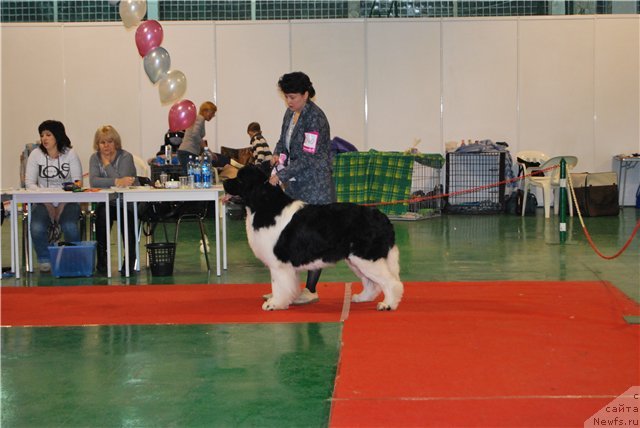 Фотография № 54485