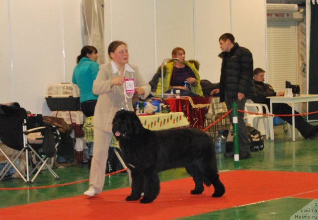 Фотография № 54494