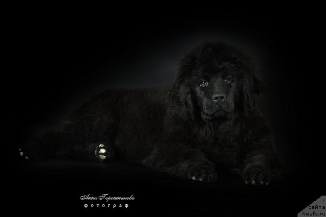 Фотография № 54495