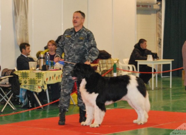 Фотография № 54500