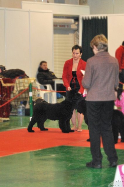 Фотография № 54504