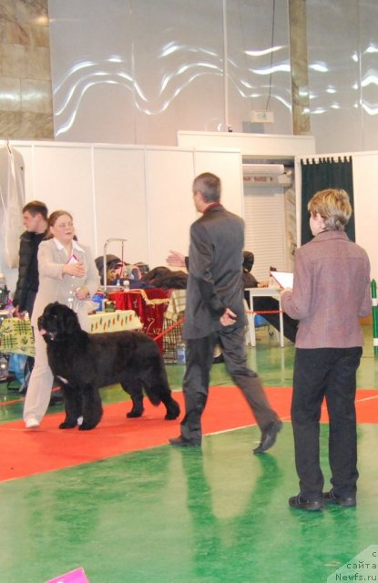 Фотография № 54511