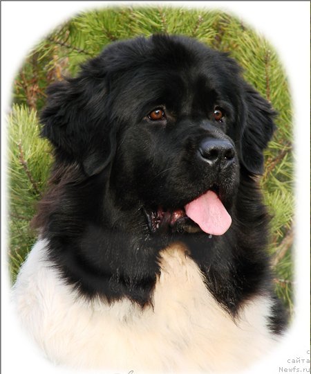 Фотография № 54536