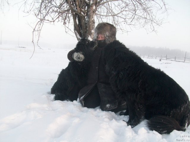 Фото: Наталья Бережнева