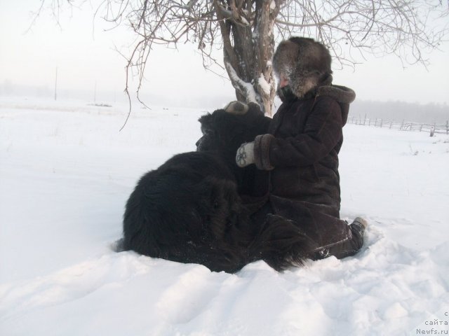 Фото: Наталья Бережнева
