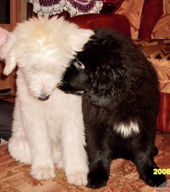 Фото: Фиаметтахауз Нусакан, ю/русс Зима