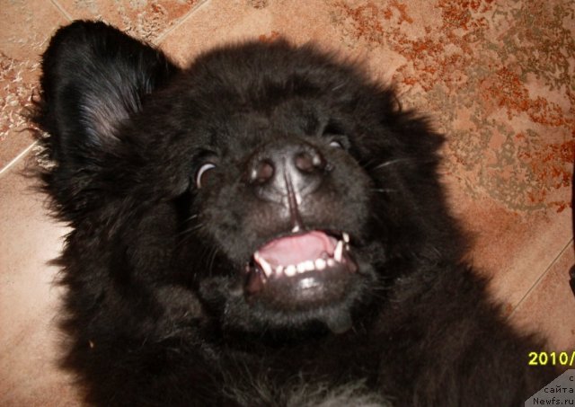 Фото: Фиаметтахауз Нусакан