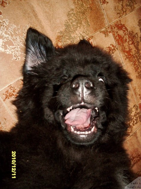 Фото: Фиаметтахауз Нусакан