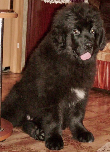 Фото: Фиаметтахауз Нусакан