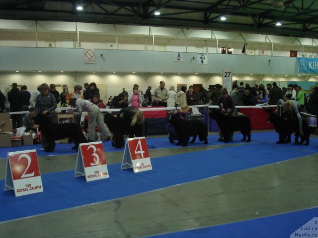 Фотография № 54667