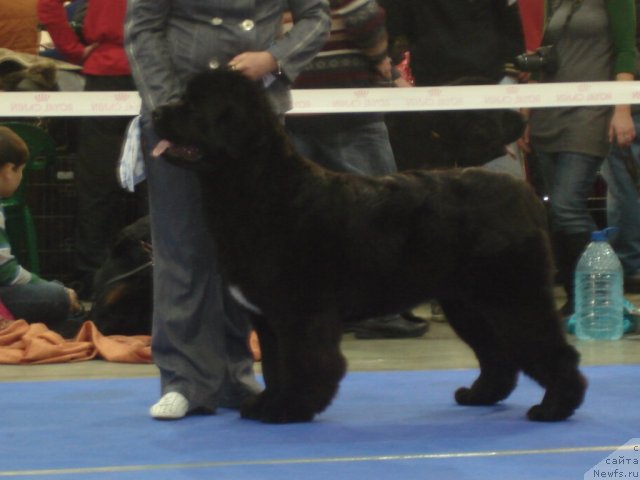 Фотография № 54668