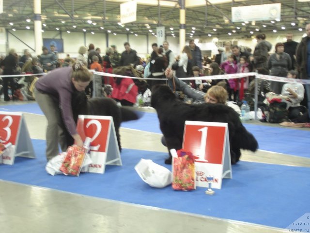 Фотография № 54670