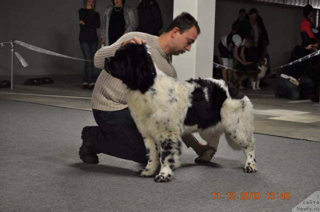 Фотография № 54675