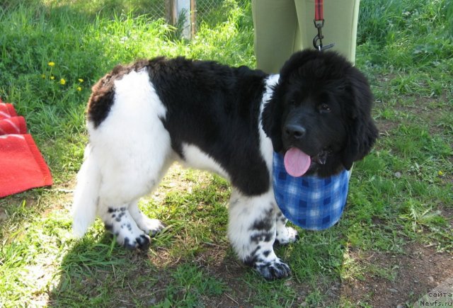 Фотография № 54688