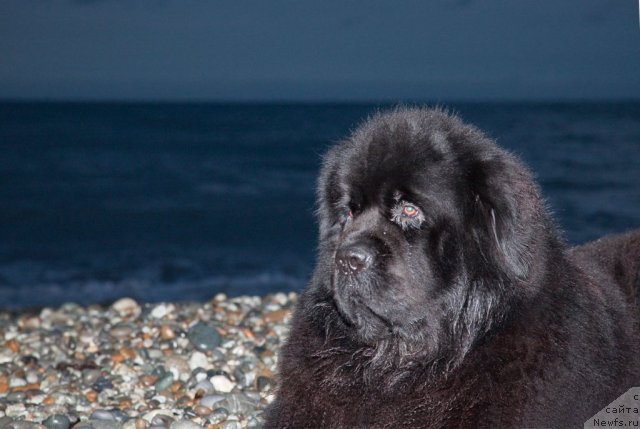 Фотография № 54695