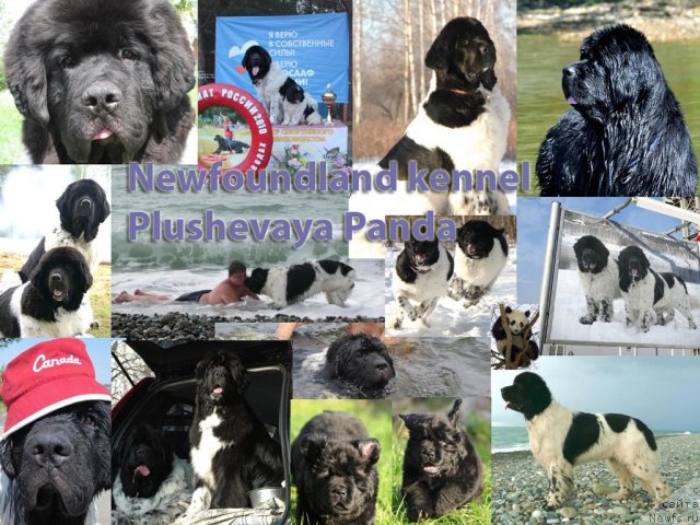 Фото: Ираида Кобзарева