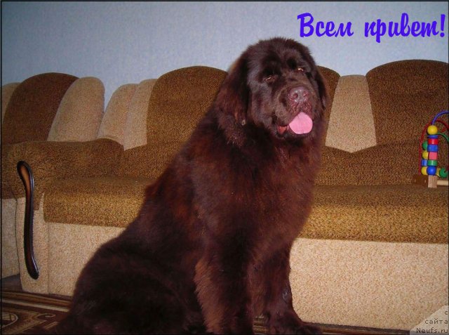 Фотография № 54817