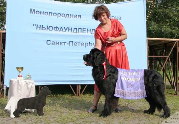 Фотография № 5482