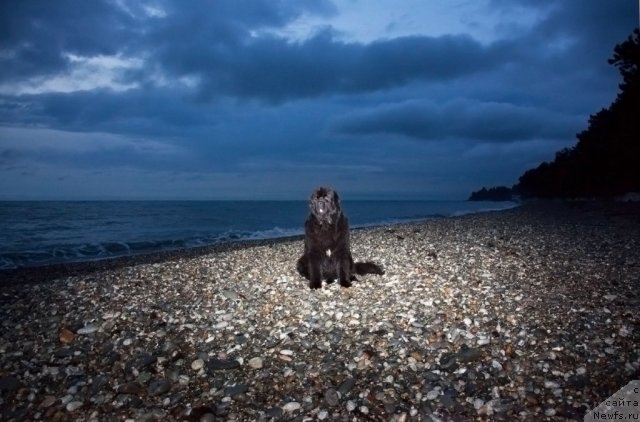 Фотография № 54838