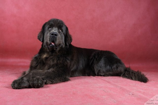 Фотография № 54840