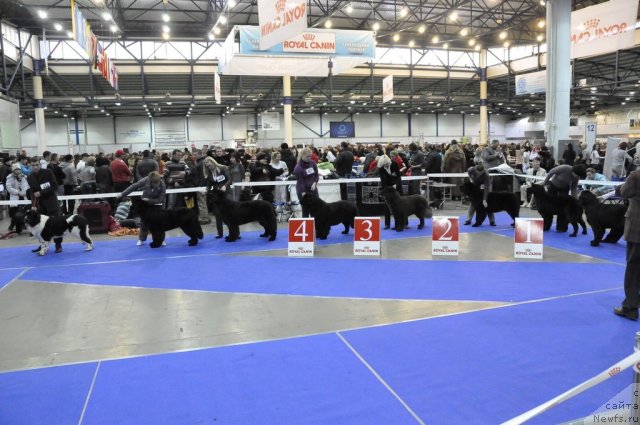 Фотография № 54847