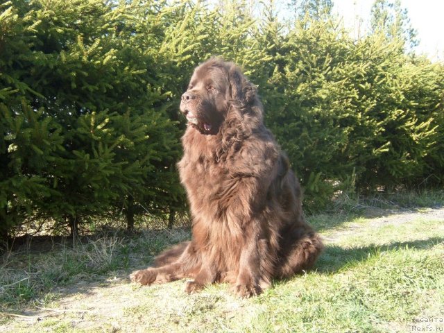 Фотография № 54864