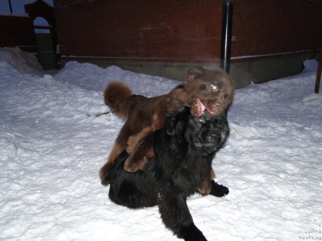 Фотография № 54871