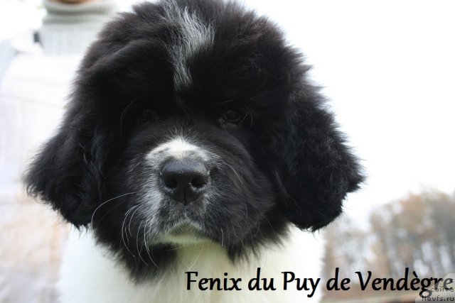 Фотография № 54922