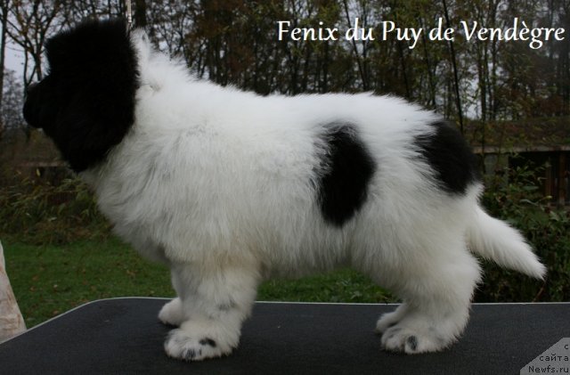 Фотография № 54923