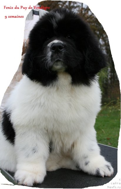 Фотография № 54924